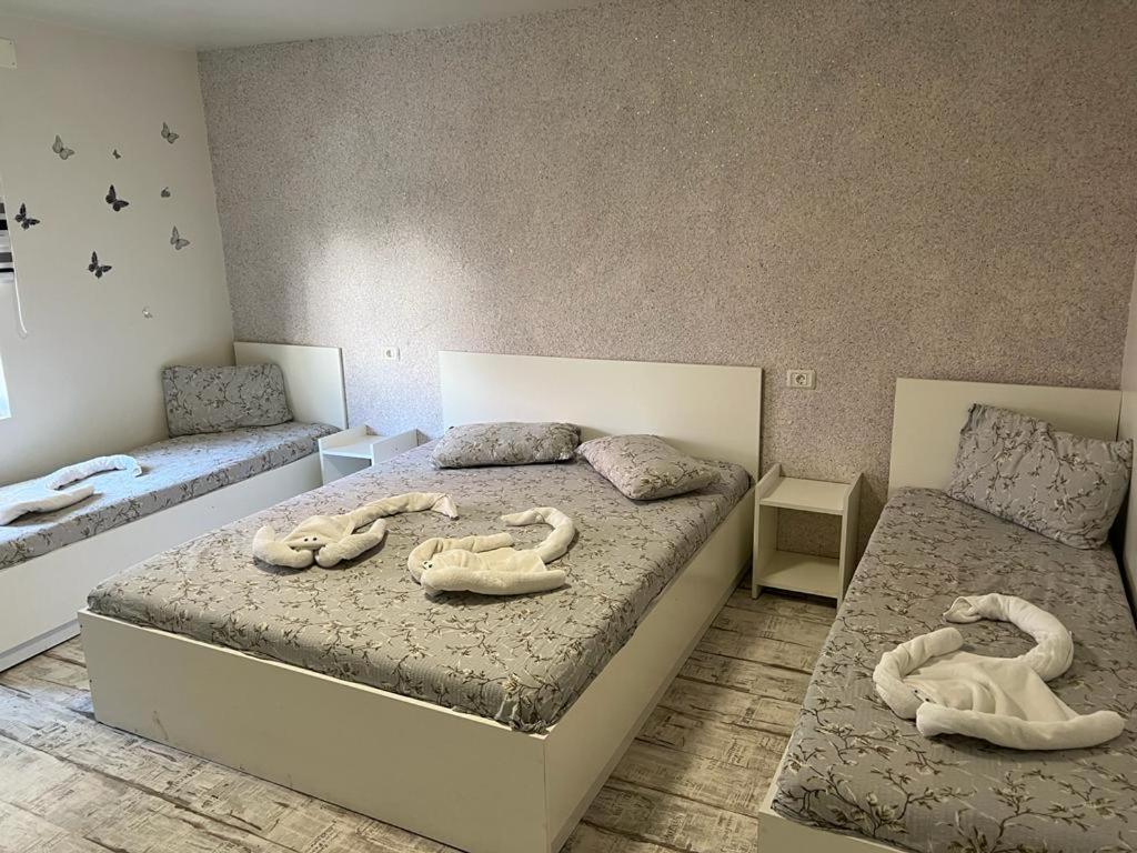 Amalya Hotel Constanta Bagian luar foto